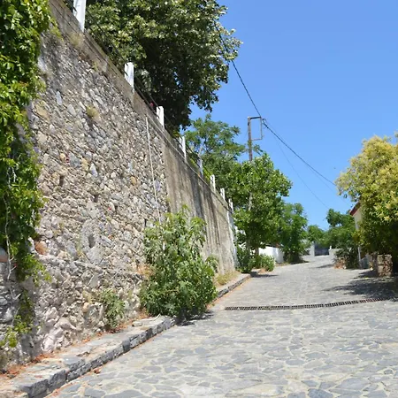 Avlonari Evias Flat In The Square Lägenhet Avlonarion